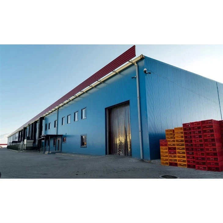 Modern Prefabricated Steel Custom Workshop